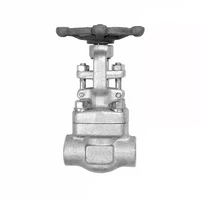 Forged Steel Gate Valve, ASTM A182 F304, 1 Inch, 800 LB, SW