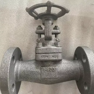 Bolted Bonnet Gate Valve, API 602, ASTM A105N, 1 Inch, 600 LB