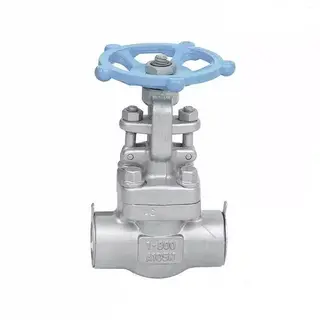 ASME B16.34 Gate Valve, ASTM A105N, 1 Inch, Class 800 LB, SW