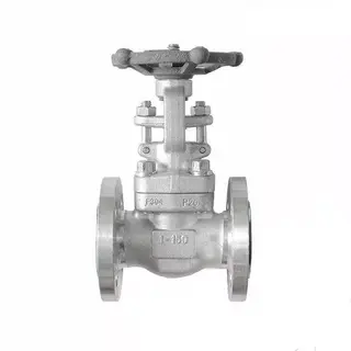 API 602 Monolithic Gate Valve, ASTM A182 F304, 1 IN, 150 LB