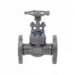 ASTM A350 LF2 Gate Valve, BS 5352, 2 Inch, Class 1500 LB, RF