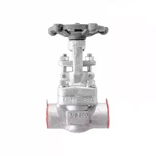 API 602 Gate Valve, ASTM A182 F304, 3/4 Inch, Class 800 LB, SW
