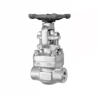 Solid Wedge Gate Valve, ASTM A182 F304, 1/2 IN, 800 LB, FNPT