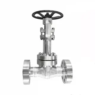 Low Temperature Gate Valve, ASTM A182 F316L, 2 Inch, 2500 LB