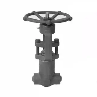 ASTM A105 Gate Valve, BS 5352, 1 Inch, Class 2500 LB, BW End