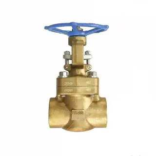 Al-bronze Gate Valve, ASTM B148 C95500, 2-1/2 Inch, 800 LB