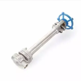 ASTM A182 F316 Gate Valve, API 602, 1/2 Inch, 800 LB, SW End