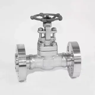 API 602 Gate Valve, ASTM A182 F321, 1 Inch, Class 1500 LB