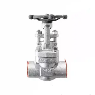Bolted Bonnet Gate Valve, ASTM A182 F304, SW, 1 Inch, 800 LB