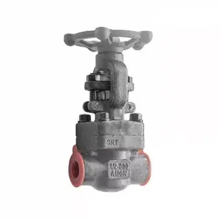ASTM A182 F5 Gate Valve, API 602, 1/2 Inch, Class 800 LB, SW