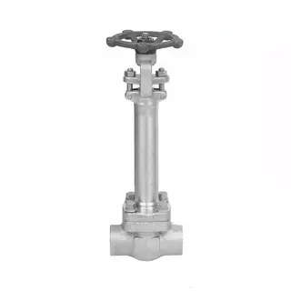 Cryogenic Gate Valve, ASTM A182 F304, PSB, 3/4 Inch, 300 LB