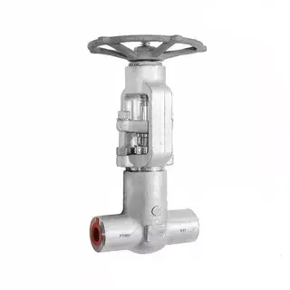 API 602 Gate Valve, ASTM A182 F316H, 3/4 Inch, 2500 LB, SW
