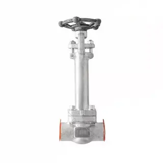 API 602 Cryogenic Gate Valve, ASTM A182 F316, 3/4 IN, 800 LB