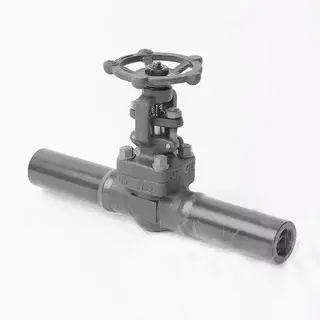ASTM A350 LF2 Gate Valve, Extended Tube, 1 Inch, 800 LB, FNPT
