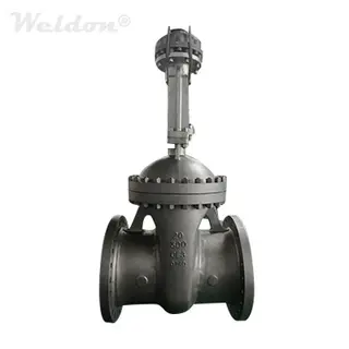 ASTM A351 CF3 Gate Valve, 20 Inch, Class 300 LB, API 600, RF