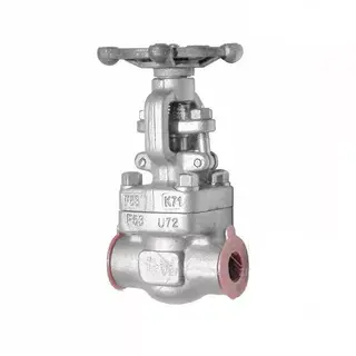 ASTM A182 F53 Gate Valve, API 602, 1/2 Inch, 800 LB, SW End