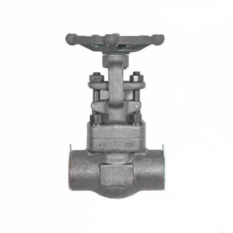 Solid Wedge Gate Valve, ASTM A182 F5, 1 Inch, 800 LB, SW End