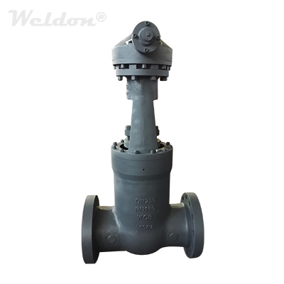EN 1.0619 Gate Valve, DN250, PN160, DIN 3352, RF, RS, Gear Operated