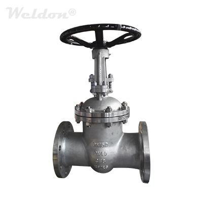 EN 1.4308 Gate Valve, DN150, PN40, DIN 3352, RF, RS, BB