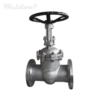 EN 1.4308 Gate Valve, DN150, PN40, DIN 3352, RF, RS, BB