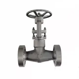 Pressure Seal Bonnet Gate Valve, ASTM A105N, 2 Inch, 2500 LB