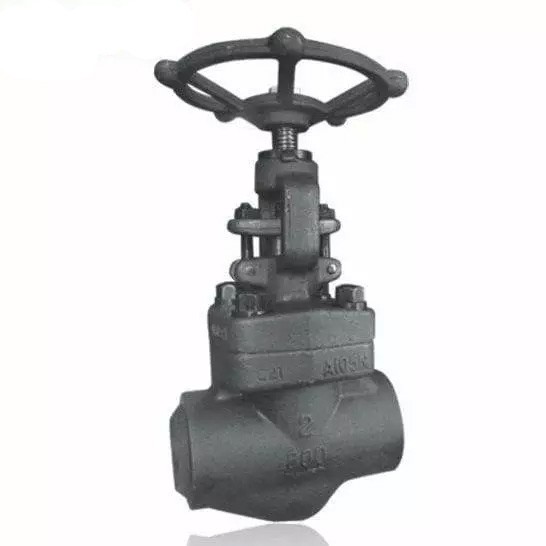 API 602 Globe Valve, ASTM A105N, Bolted Bonnet, 2 IN, 800 LB