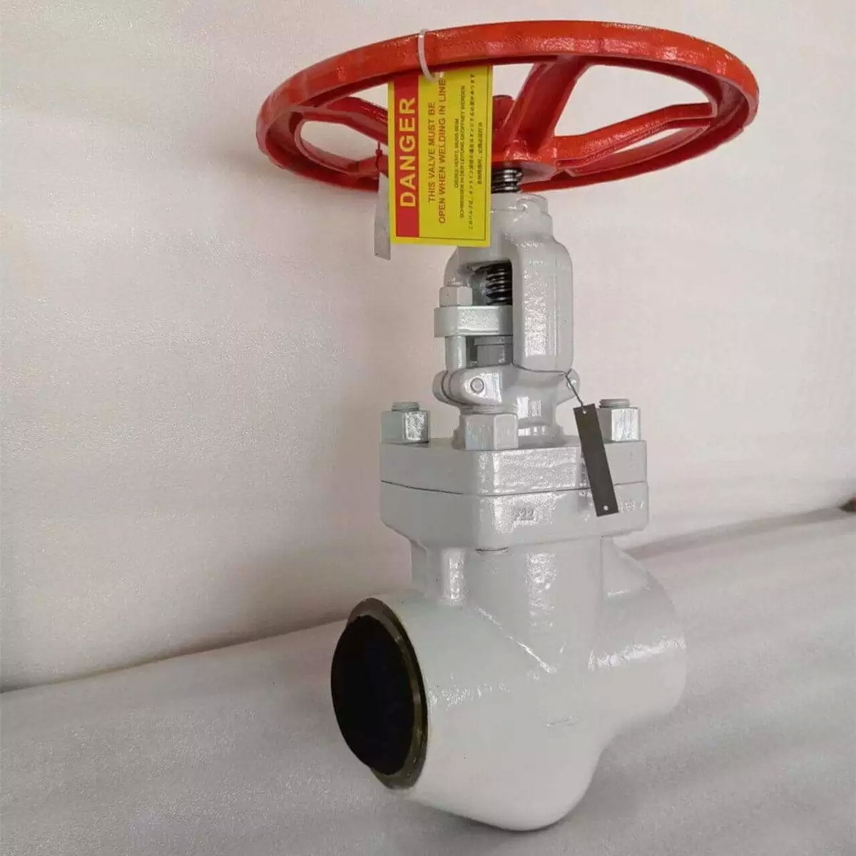 API 602 Globe Valve, ASTM A182 F22, 1 Inch, 800 LB, NPT End