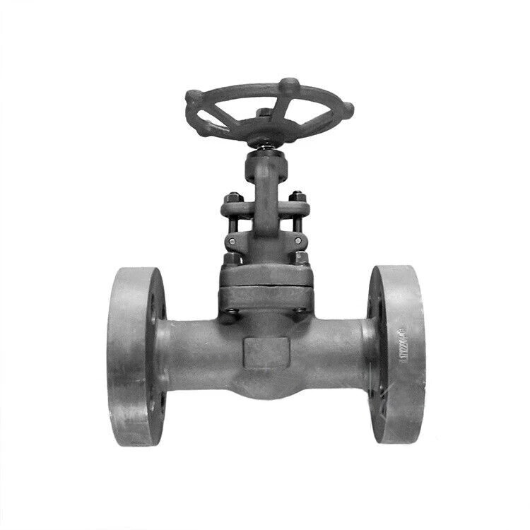 API 602 Needle Disc Globe Valve, ASTM A105N, 1 Inch, 900 LB