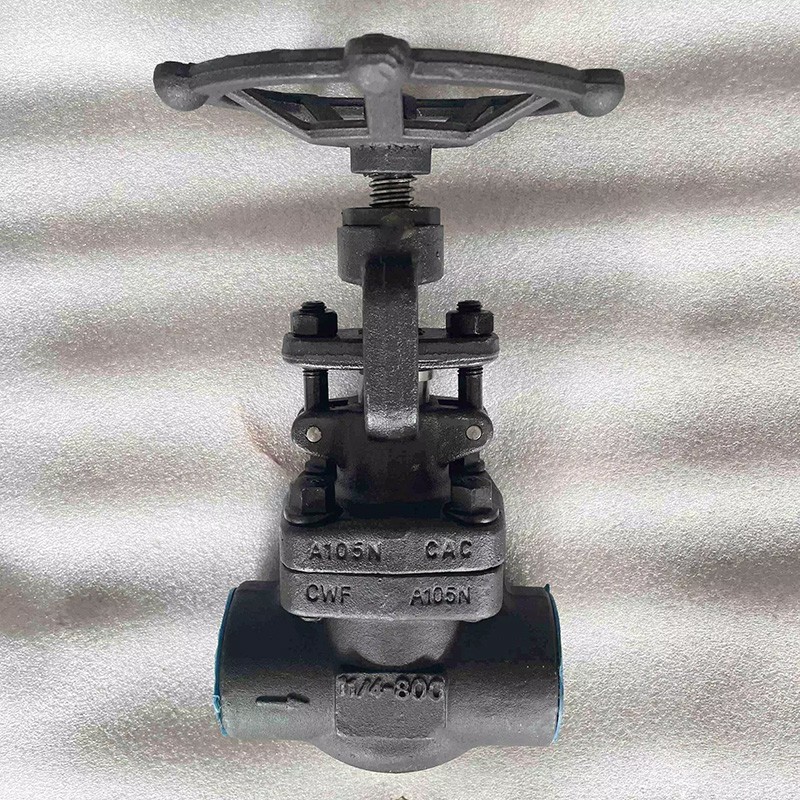 ASTM A105 Globe Valve, Bolted Bonnet, 1-1/4 Inch, 800 LB