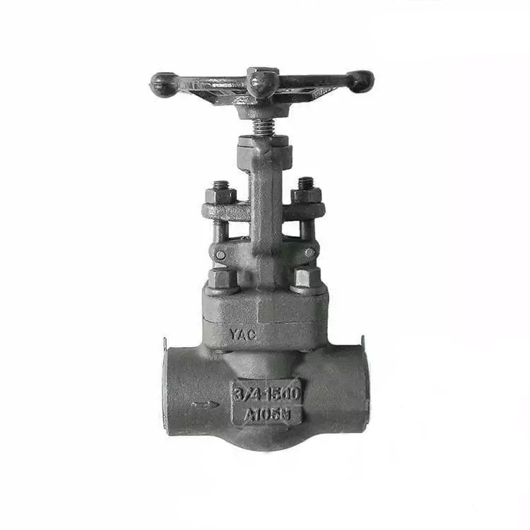 ASTM A105N Globe Valve, API 602, 3/4 Inch, 1500 LB, OS & Y
