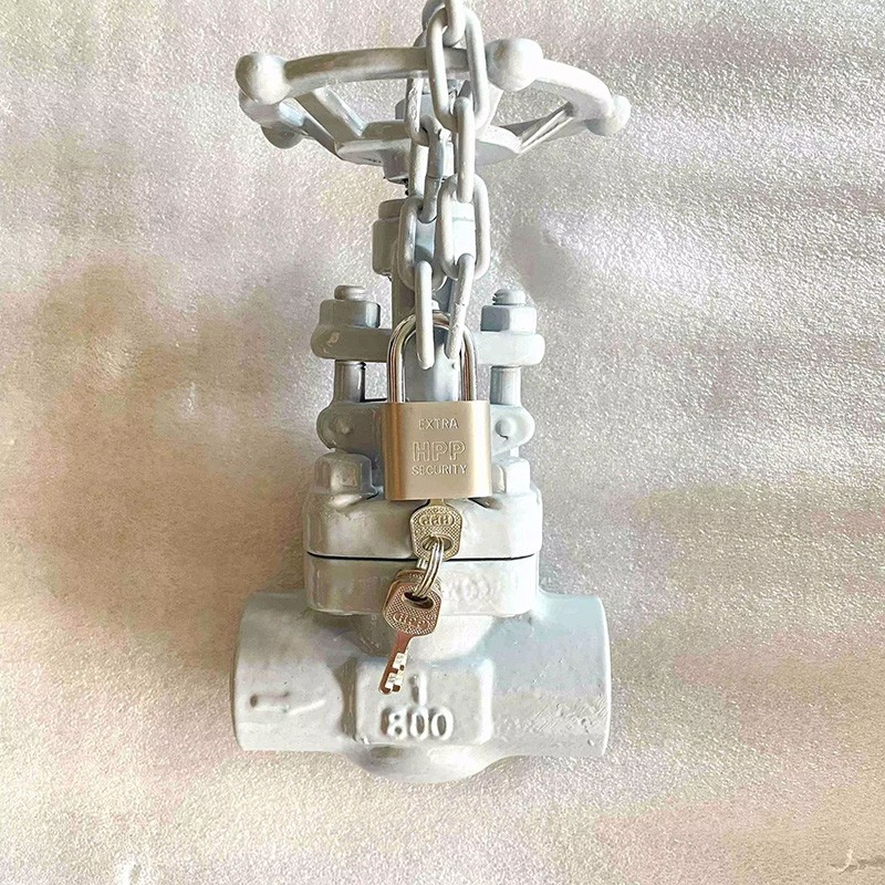 ASTM A105N Globe Valve with Lock Device, 1 Inch, 800 LB, SW