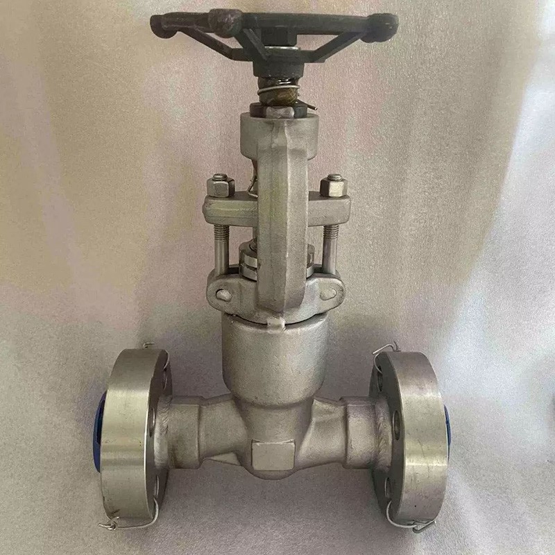 ASTM A182 F316 Globe Valve, Welded Bonnet, 3/4 Inch, 2500 LB