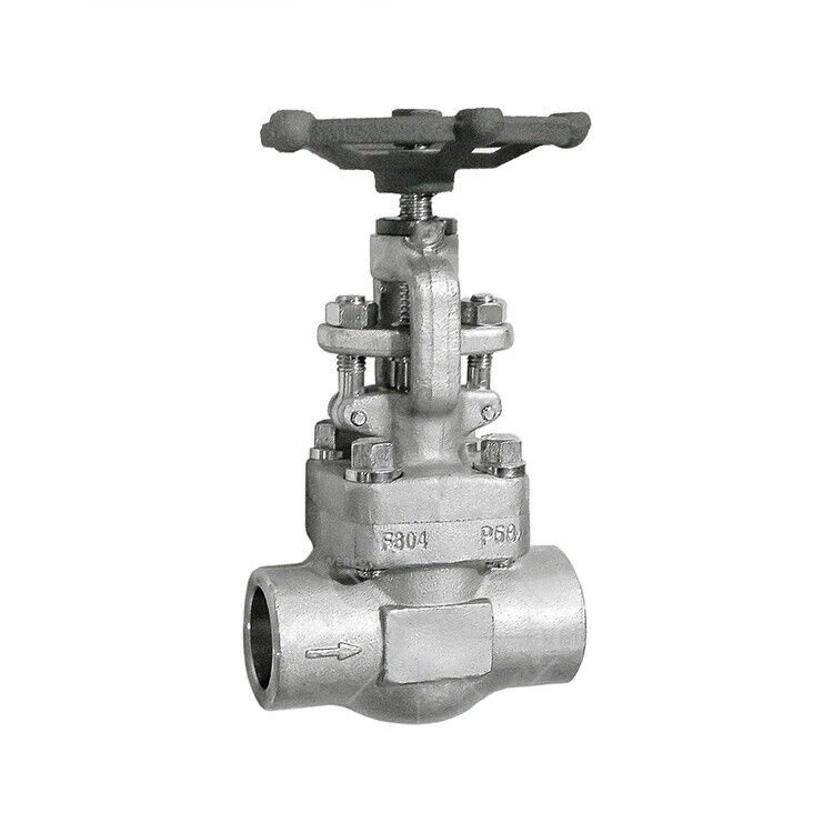 Bolted Bonnet Globe Valve, ASTM A182 F304, 1 Inch, CL 800 LB