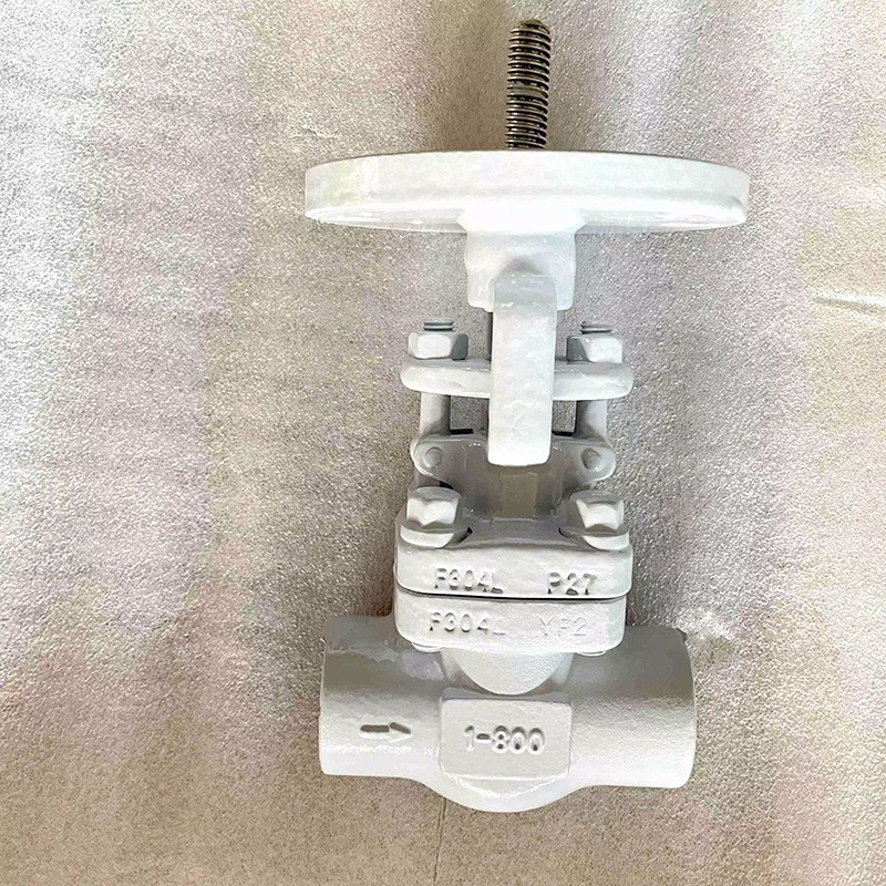 Bolted Bonnet Globe Valve, ASTM A182 F304L, 1 Inch, 800 LB