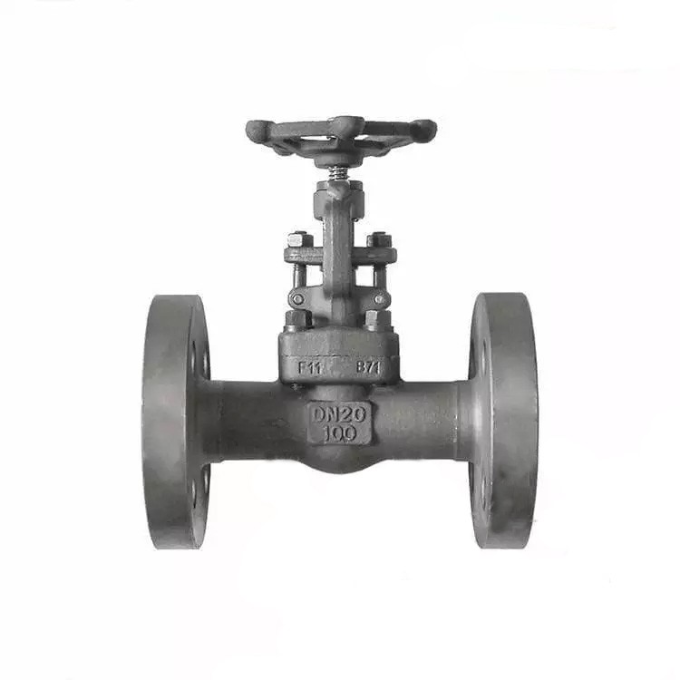 BS 5352 Globe Valve, ASTM A182 F11, DN20, PN100, Rising Stem