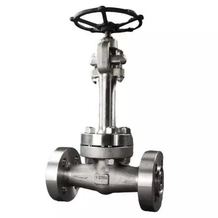 Cryogenic Globe Valve, ASTM A182 F304, 1 Inch, Class 2500 LB