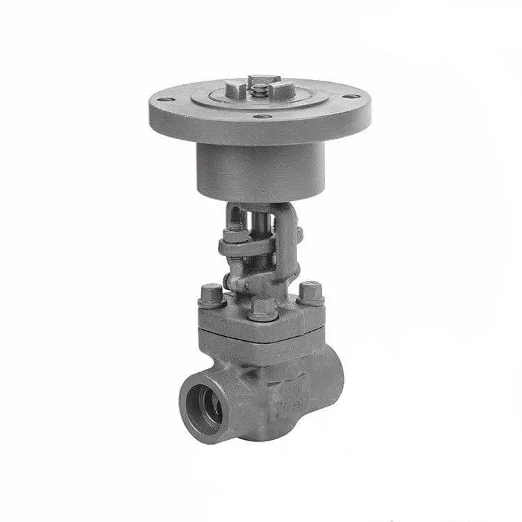 Electric Actuated Globe Valve, ISO 5210, 1-4 Inch, 2500 LB