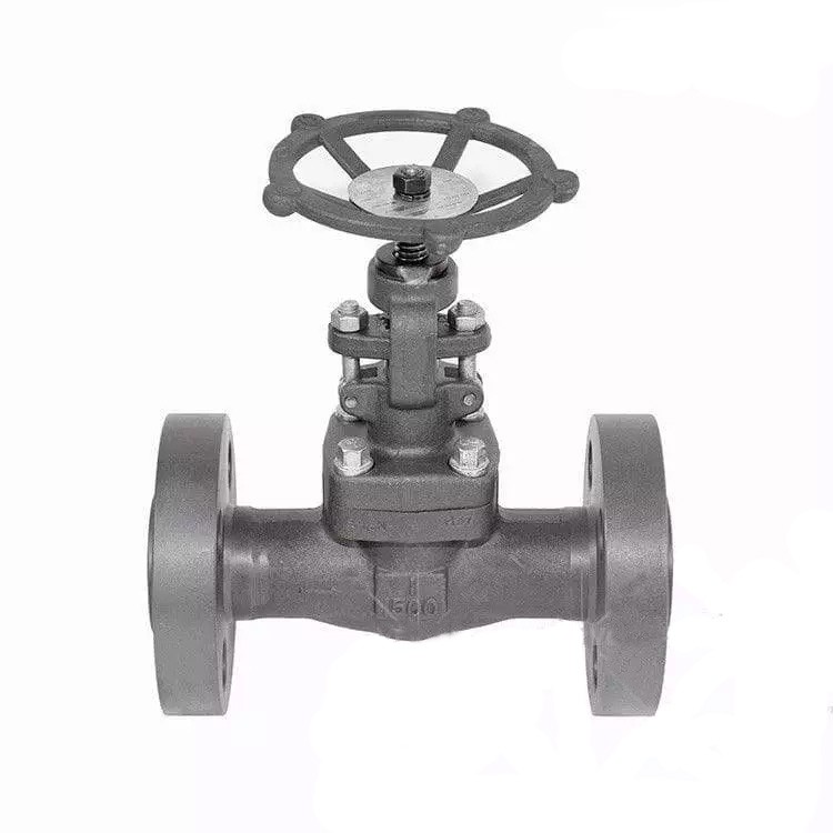 Manual Globe Valve, ASTM A105, 1 Inch, Class 1500 LB, RF End