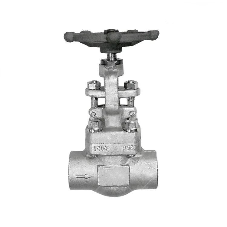 Needle Globe Valve, ASTM A182 F304, API 602, 1 Inch, 800 LB