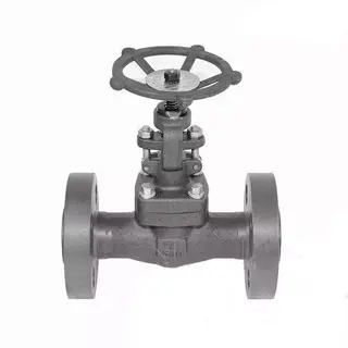 Manual Globe Valve, ASTM A105, 1 Inch, Class 1500 LB, RF End