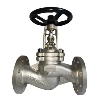 EN 12516-1 Globe Valve, ASTM A351 CF3, DN80, PN16, RF End