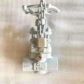 ASTM A105N Globe Valve with Lock Device, 1 Inch, 800 LB, SW
