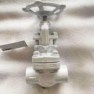 Bolted Bonnet Globe Valve, ASTM A182 F22, 3/4 IN, 800 LB, SW