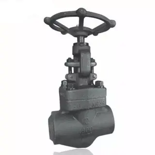 API 602 Globe Valve, ASTM A105N, Bolted Bonnet, 2 IN, 800 LB