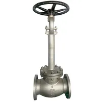 Cryogenic Globe Valve, ASTM A351 CF8M, 6 Inch, Class 150 LB