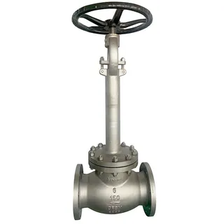 Cryogenic Globe Valve, ASTM A351 CF8M, 6 Inch, Class 150 LB
