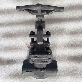 ASTM A105 Globe Valve, Bolted Bonnet, 1-1/4 Inch, 800 LB