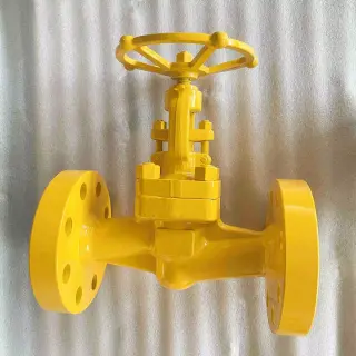 ASTM A105N Globe Valve, API 602, 1 Inch, Class 300 LB, RF