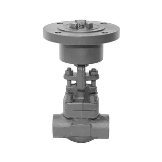 Bare Stem Globe Valve, API 602, ASTM A105N, 2 Inch, 800 LB
