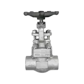 Needle Globe Valve, ASTM A182 F304, API 602, 1 Inch, 800 LB